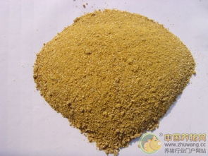 中韩自贸协定助力中国农产品出口，饲料行业迎来新机遇