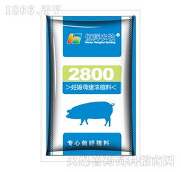 妊娠母猪浓缩饲料2800 科学配方助力提升胚胎着床率与受胎率