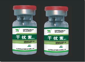 全面解析猪用干扰素 功效、应用与选购指南——聚焦35941网兽药饲料产品