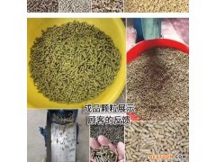 现代农业全产业链发展展望 从田间到餐桌的系统化整合